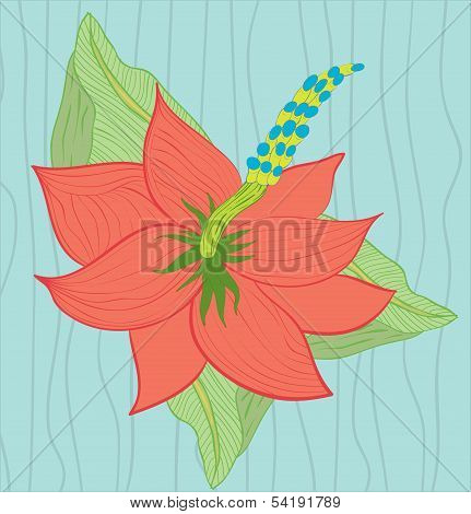 Hibiscus flower on the blue background