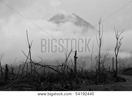 Burned Forest & Volcano Background