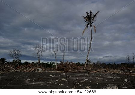 Area Flattened by Mount Merapi Eruption