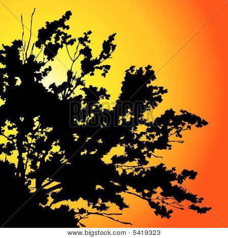 Arbre