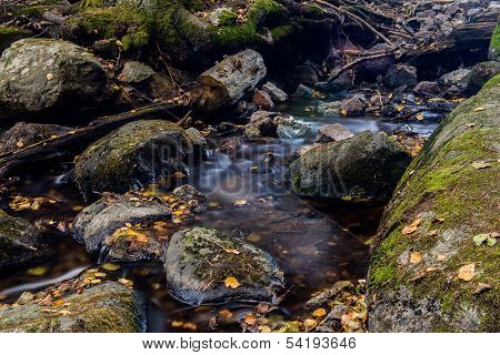 Autumn Creak With Leavs And Slow Water