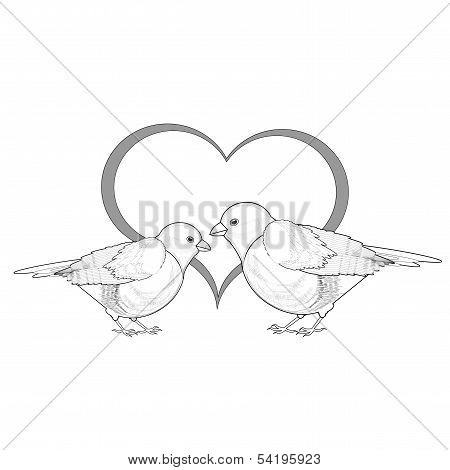 A Monochrome Sketch Of A Couple Of Birds With A Heart