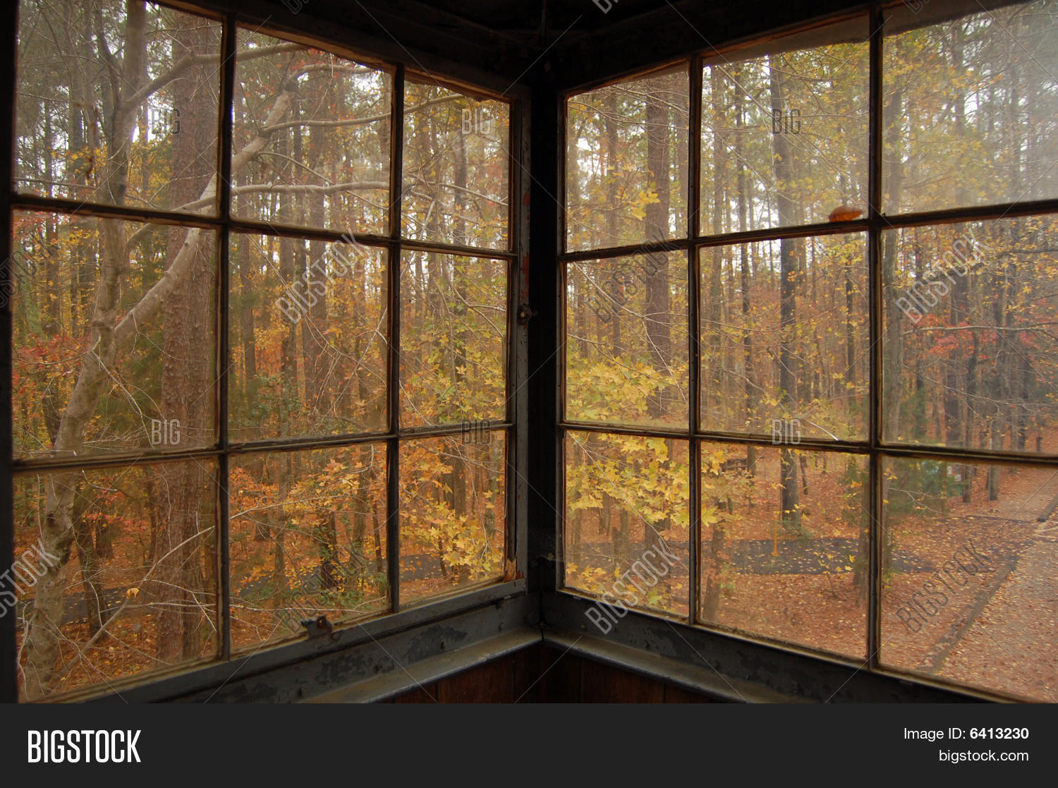 Fall Through Window Image & Photo (Free Trial) | Bigstock