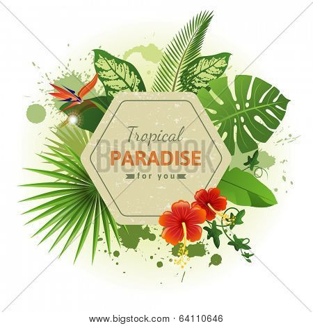 tropical background with flowers and plants