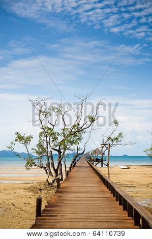 Tropical Beach