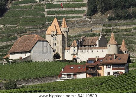 rural landscape in Aigle