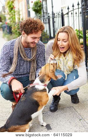 Couple Taking Dog For Walk On City Street