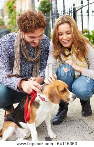 Couple Taking Dog For Walk On City Street
