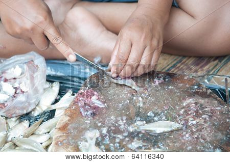 Process Of Cutting Fresh Fish