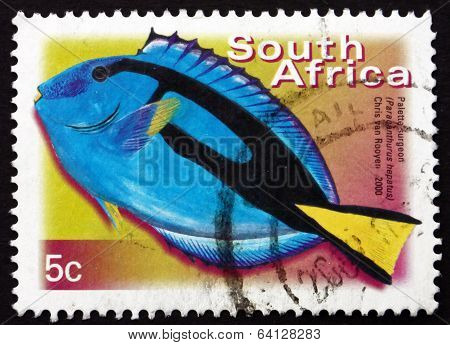 Postage Stamp South Africa 2000 Palette Surgeonfish, Marine Fish