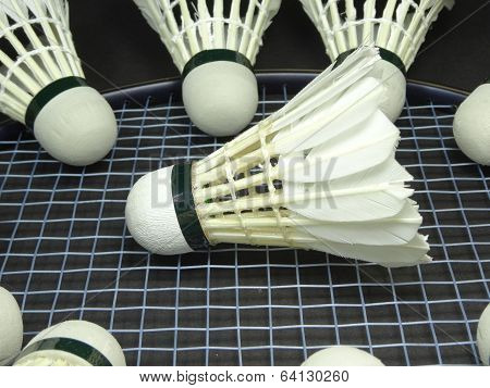 shuttlecocks on a badminton racket