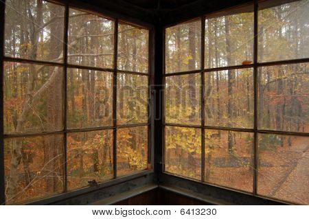 Fall Through The Window