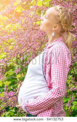 Pregnant Woman In A Park