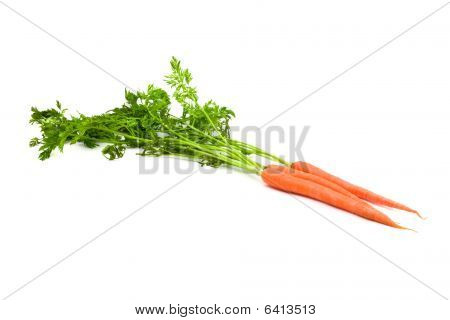 Carrot