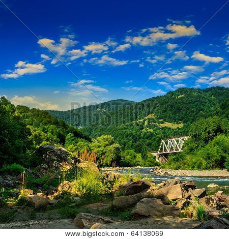 Forest River With Stones And Grass At Sunrise