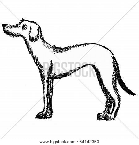 Deerhound