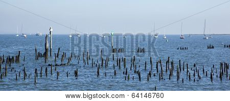 Jersey Sailboats