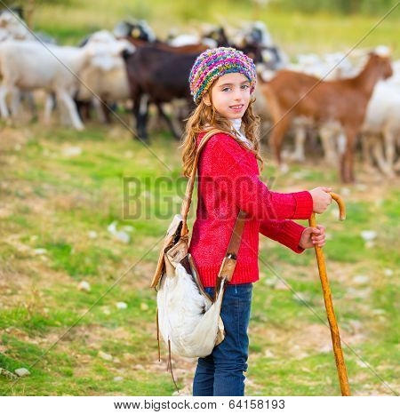 Kid girl shepherdess happy with flock of sheep and wooden stick in Spain