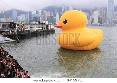 rubber duck in Hong Kong