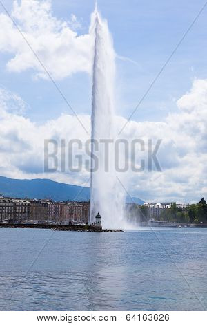 The Water Fountain 