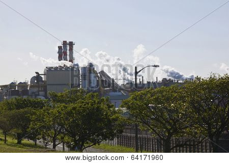 Trees In Front Of Mondi Paper Mill