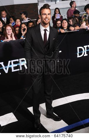LOS ANGELES - MAR 18:  Theo James arrives to the 'Divergent' Los Angeles Premiere  on March 18, 2014 in Westwood, CA                