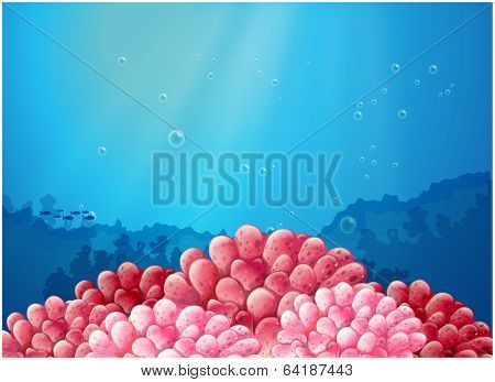 Illustration of the pink corals under the sea on a white background