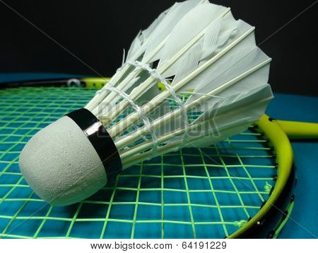 shuttlecock on a badminton racket