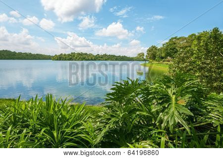 Upper Seletar Reservoir in Singapore in november.