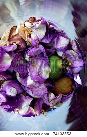 Composition with petals, kiwi and pomegranate