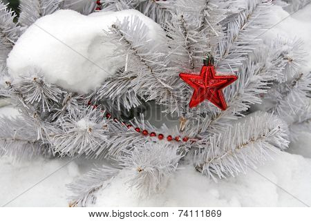 Red Star