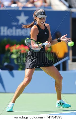 Grand Slam champion Ana Ivanovich during first round match at US Open 2014 against Alison Riske