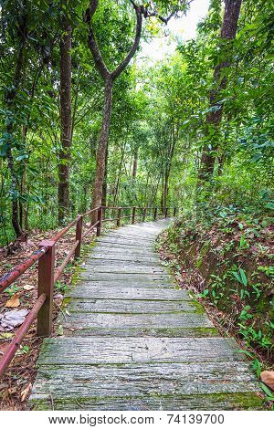 Stairway To Siriphum Waterfall