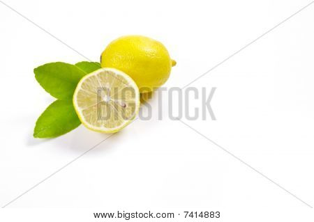 แสดงมะนาว ส้ม