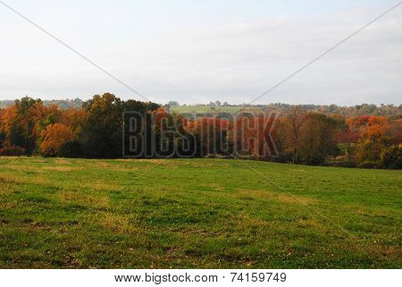 Grassy Country Field With Fall Foliage In The Distance