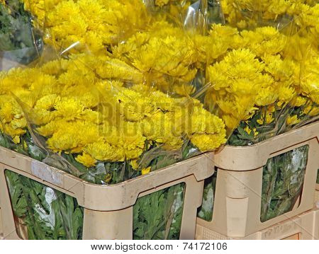 Bunch Of Flowers For Sale By Wholesale Florist In The Big Flower Market