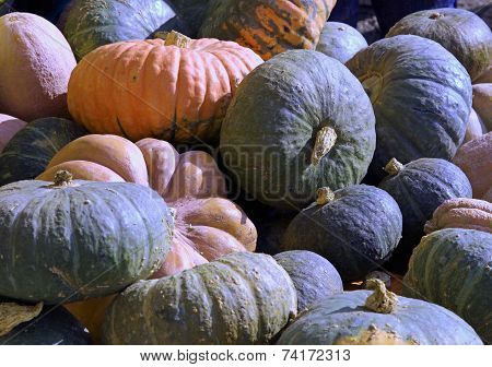 Pumpkins To Decorate Halloween Night