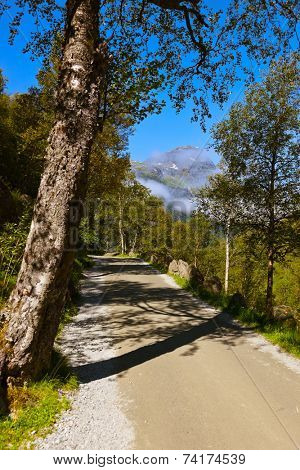 Road to Briksdal glacier - Norway - nature and travel background