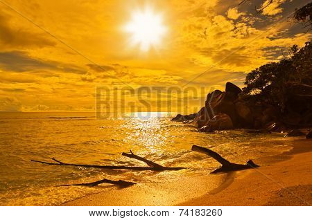 Seychelles tropical beach at sunset - nature background