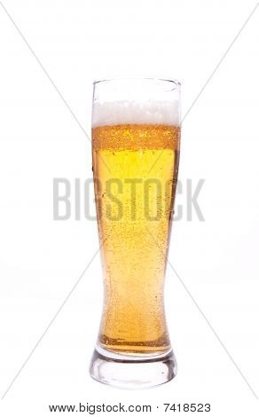 Cerveza fría
