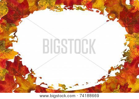 Autumn Leaf Oval Background