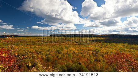 Cape Croker Cliff Autumn Fall Forest Trees Panoramic Landscape