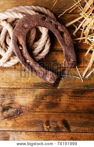 American West still life with old horseshoe and cowboy lasso