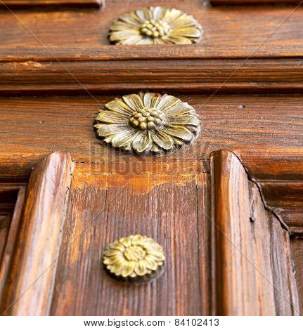 Abstract  Rusty Brass Brown Knocker Gallarate Varese