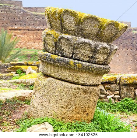 Chellah  In Morocco Africa The Old Roman Deteriorated Monument And Site