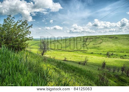 Flowers In The Mountains. Russia, Stavropol.