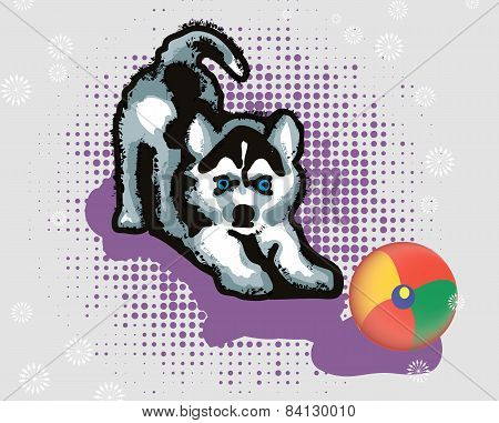 Husky