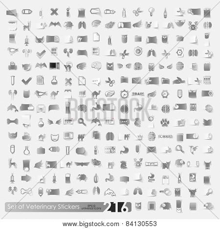 Set of veterinary stickers