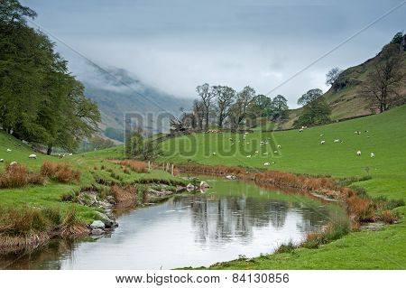 Meandering River