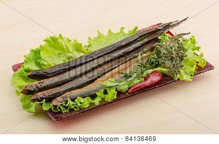 Lamprey